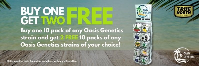Oasis Genetics Promotion